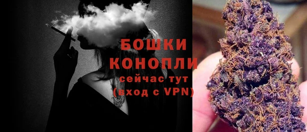 молекула духа Володарск