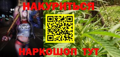 гидра Камышлов
