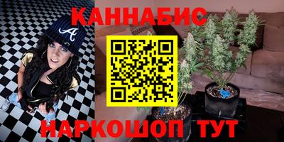 гидра Камышлов