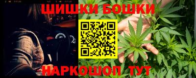 гидра Камышлов