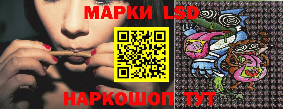 NBOMe Ноябрьск