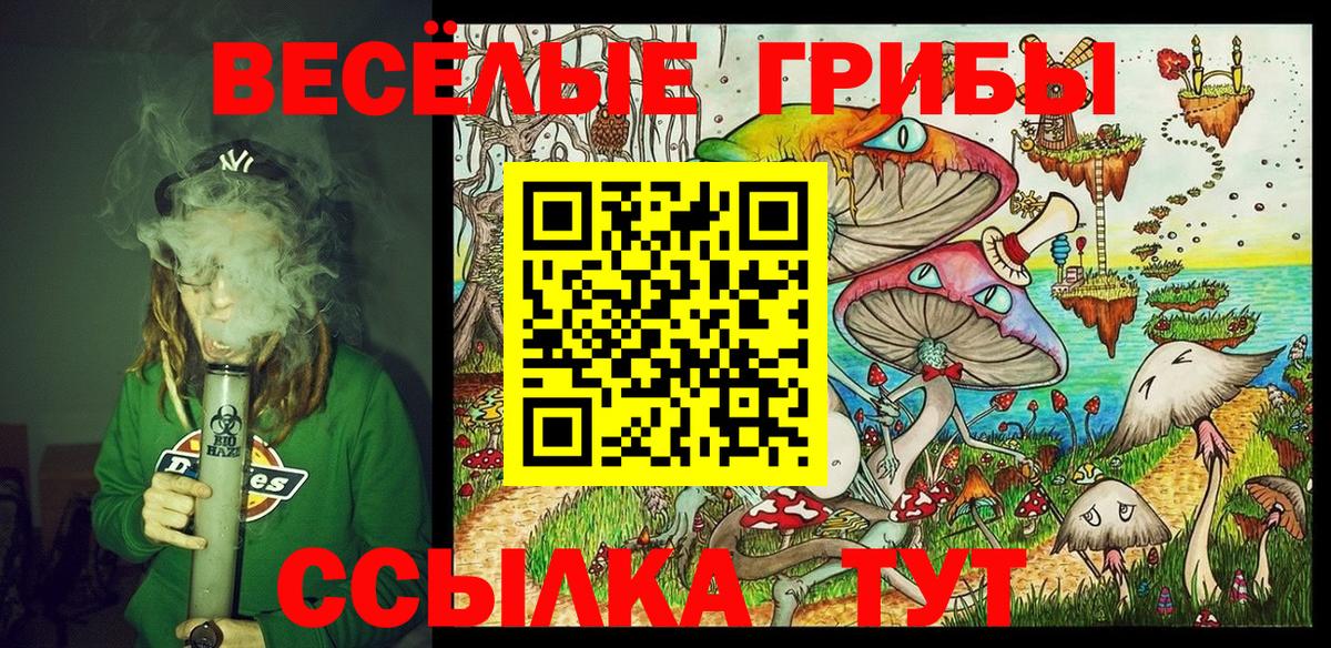 Галлюциногенные грибы прущие грибы  Вход с VPN  Ноябрьск 