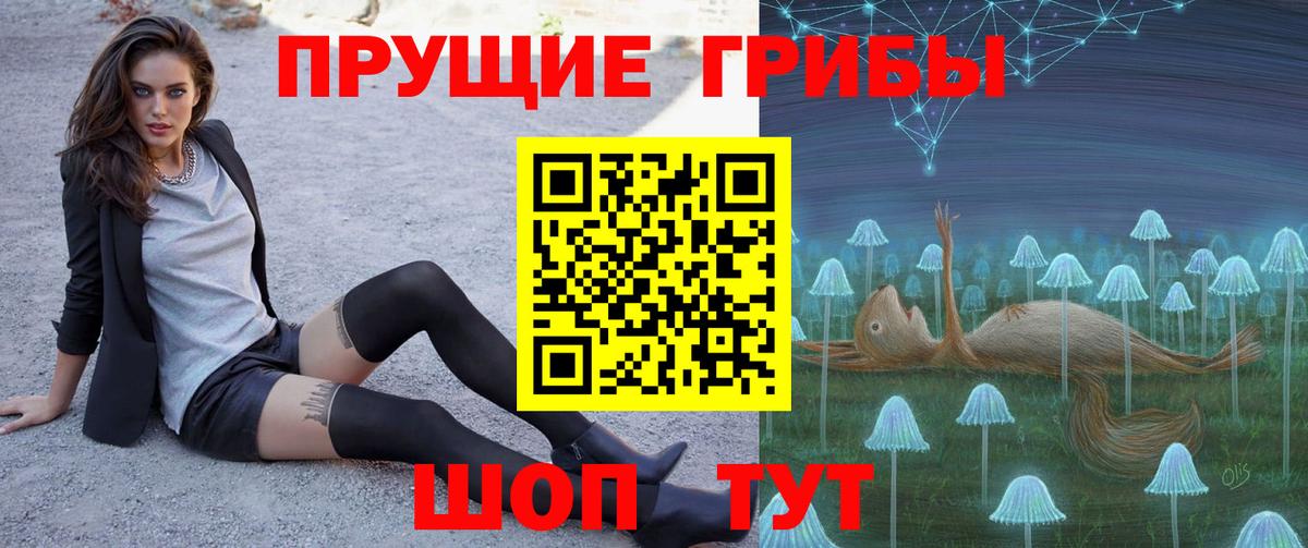 Псилоцибиновые грибы GOLDEN TEACHER Ноябрьск